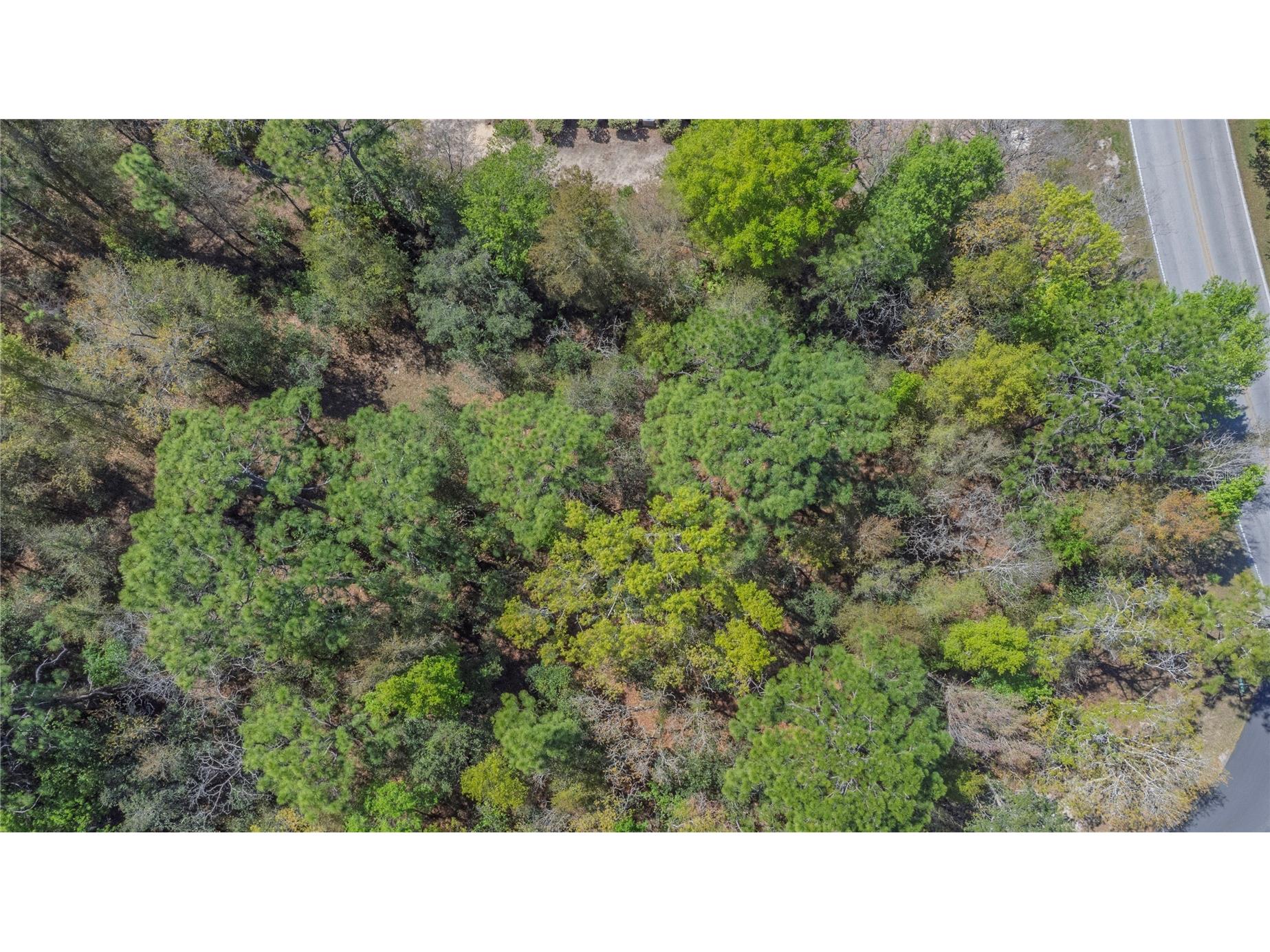 1 Pine Street Homosassa FL 34446 TB8482530 image8
