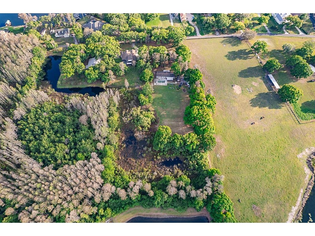 1 Plainview Road #LOT 1 Odessa FL 33556 TB8498498 image15