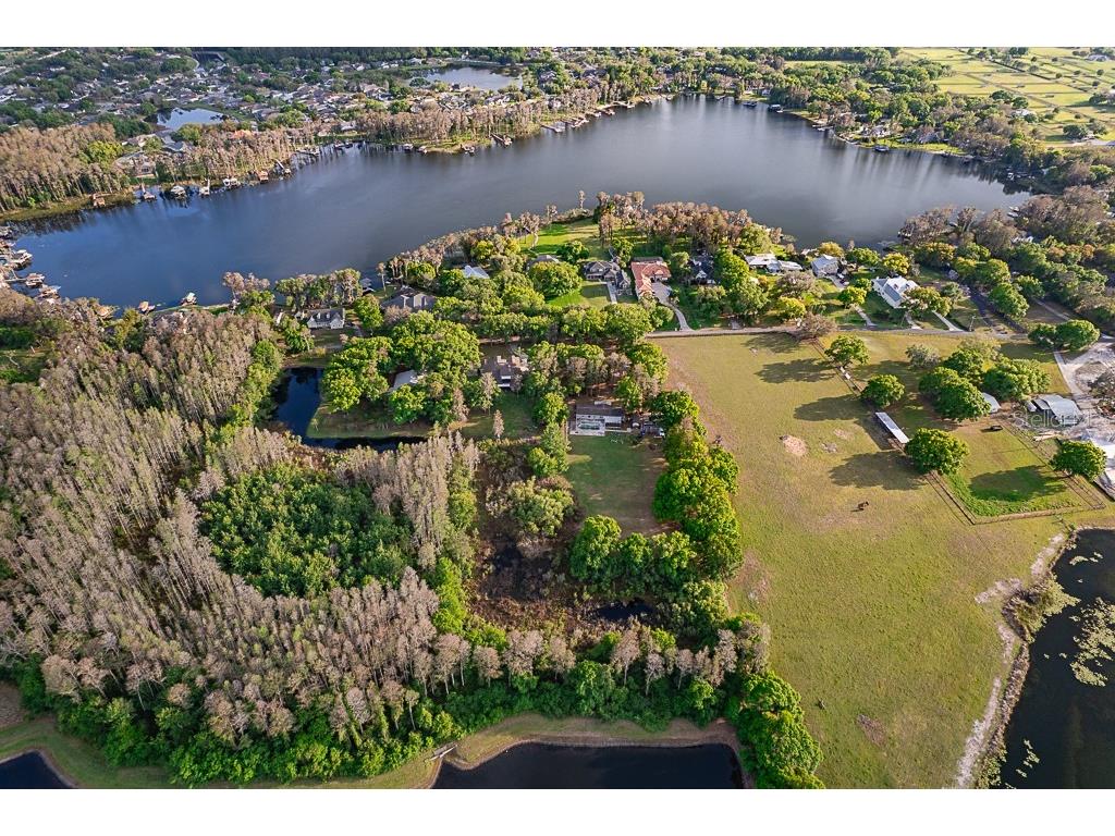 1 Plainview Road #LOT 1 Odessa FL 33556 TB8498498 image16