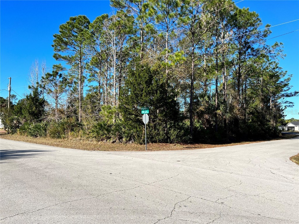 1 Poppy Place Palm Coast FL 32164 FC288519 image1