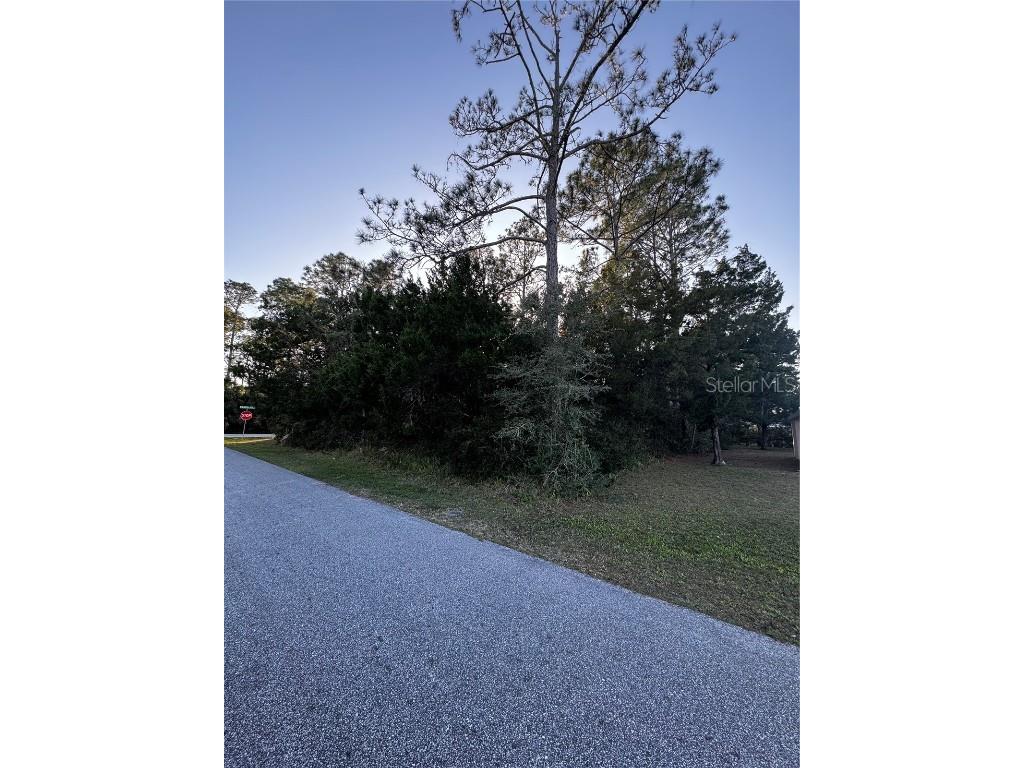 1 Ranwood Lane Palm Coast FL 32164 FC298506 image1