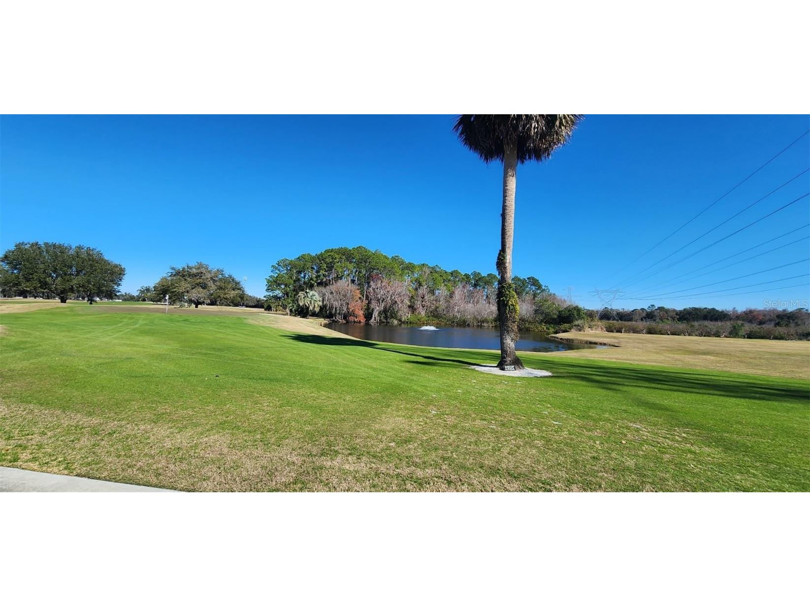 1 Robin Road Wildwood FL 34785 G5093903 image47