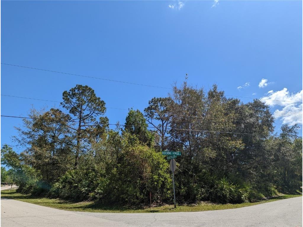 1 Rocking Horse Dr Palm Coast FL 32164 FC290754 image1