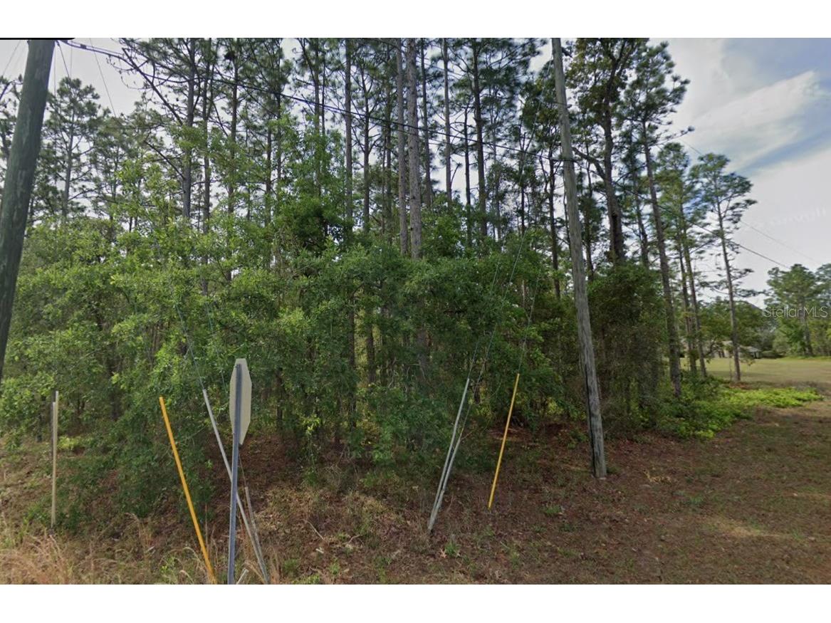 1 Sanders Court W Homosassa FL 34446 O6363970 image1