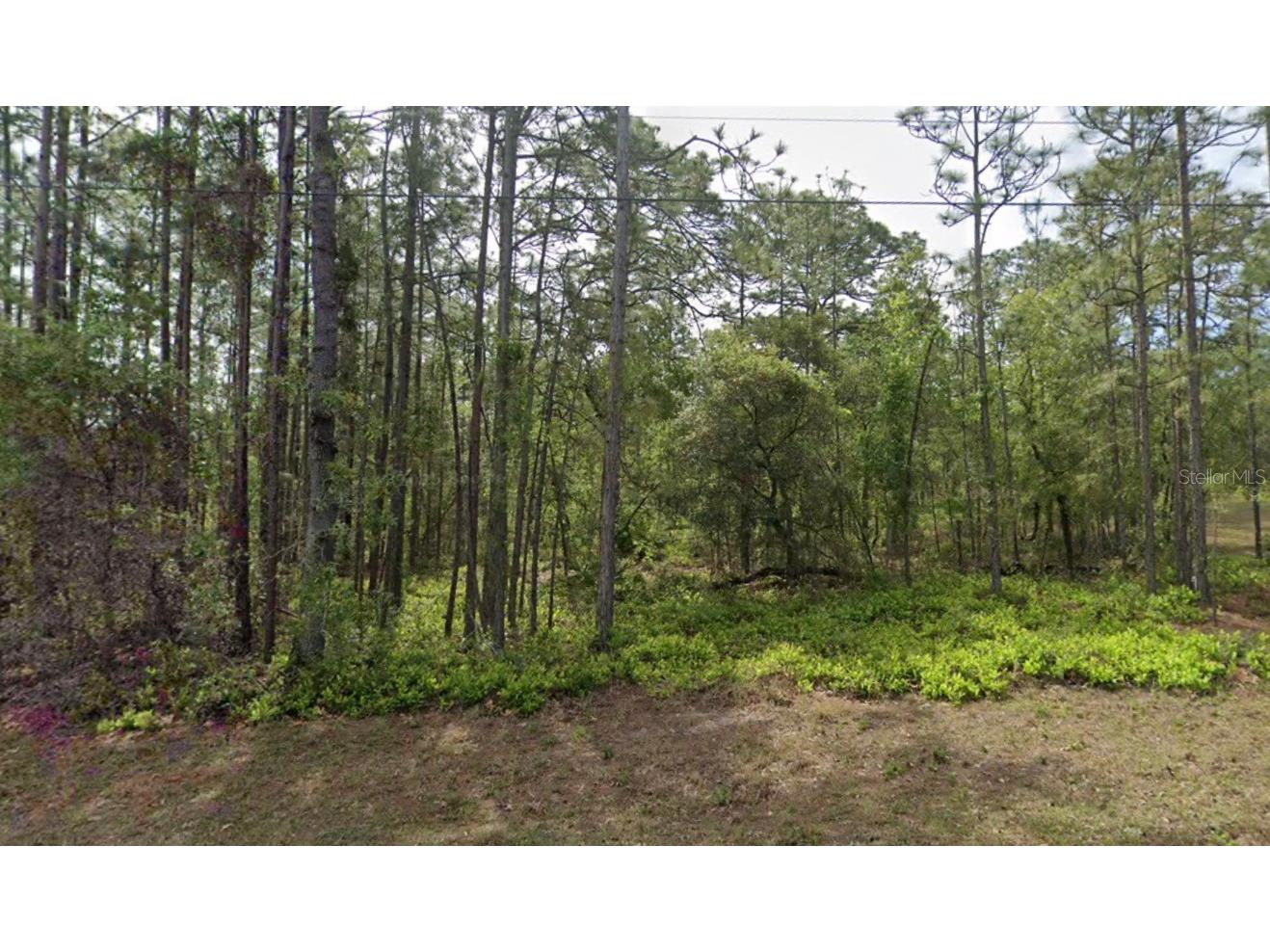 1 Sanders Court W Homosassa FL 34446 O6363970 image2