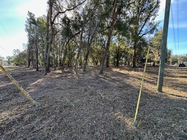 1 SE 161st Court Ocklawaha FL 32179 W7881882 image1