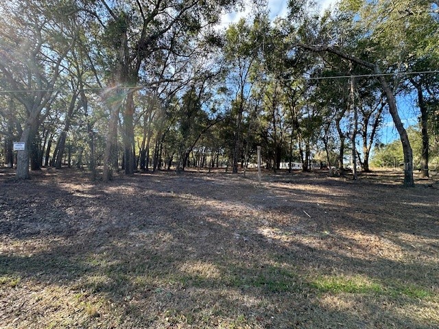 1 SE 161st Court Ocklawaha FL 32179 W7881882 image2