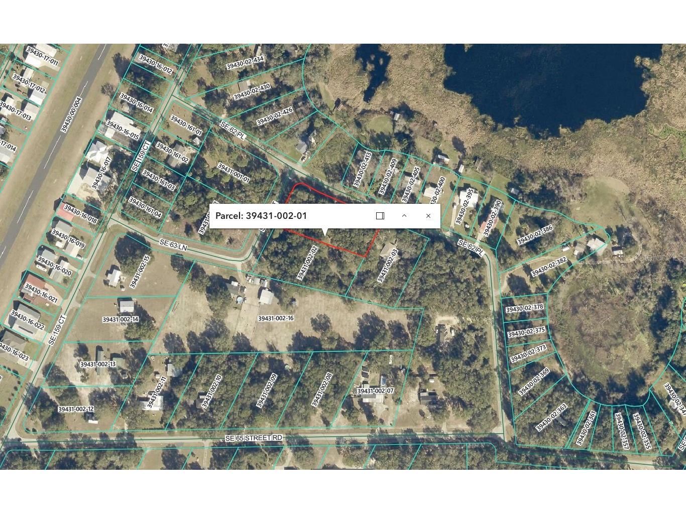 1 SE 161st Court Ocklawaha FL 32179 W7881882 image6