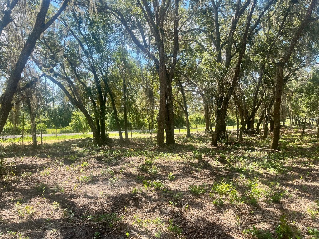 1 Sendcastle Drive Groveland FL 34736 TB8418352 image10