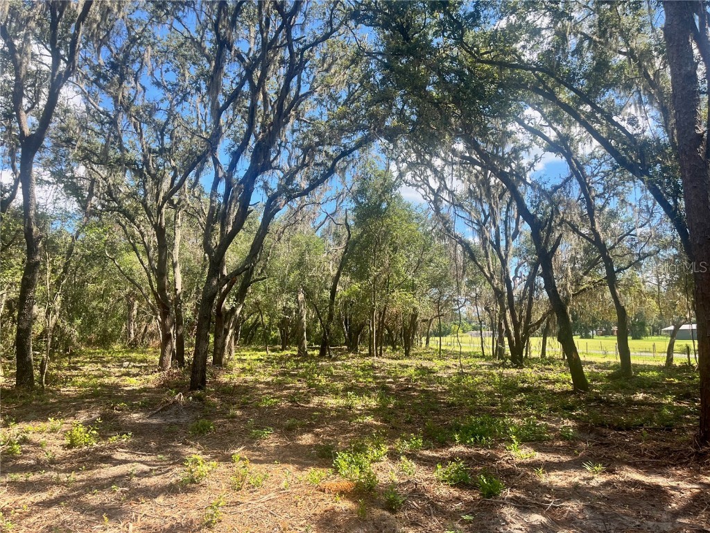 1 Sendcastle Drive Groveland FL 34736 TB8418352 image11