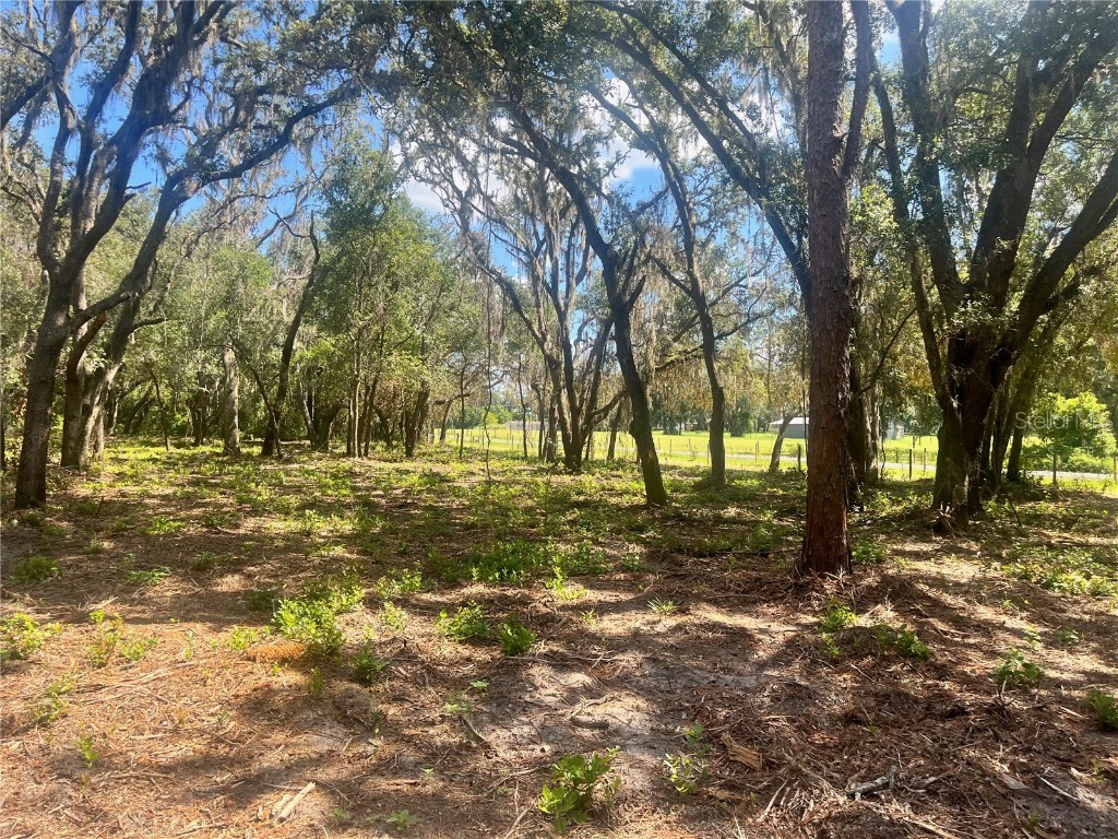 1 Sendcastle Drive Groveland FL 34736 TB8418352 image12