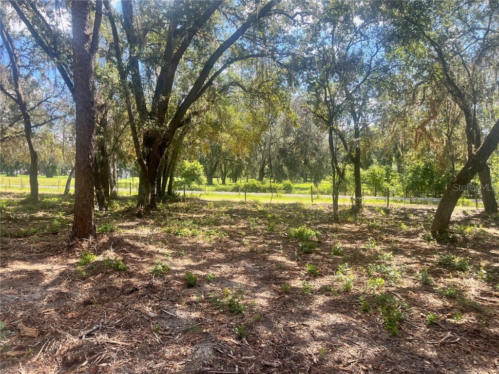 1 Sendcastle Drive Groveland FL 34736 TB8418352 image13