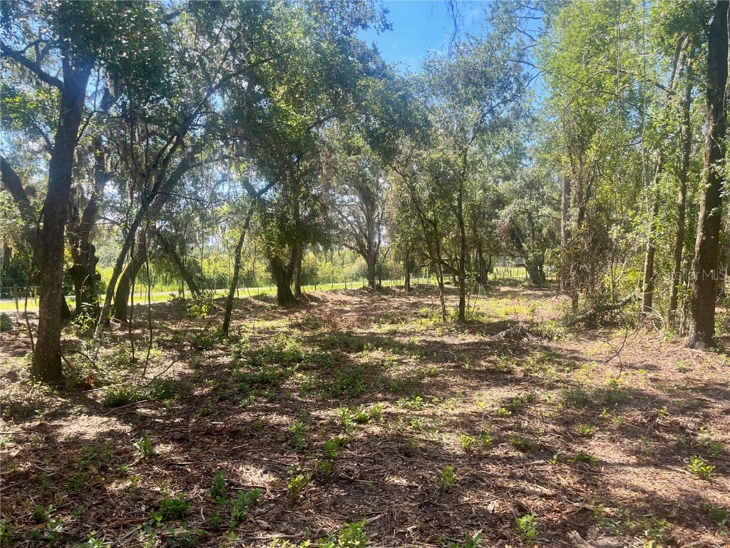 1 Sendcastle Drive Groveland FL 34736 TB8418352 image14