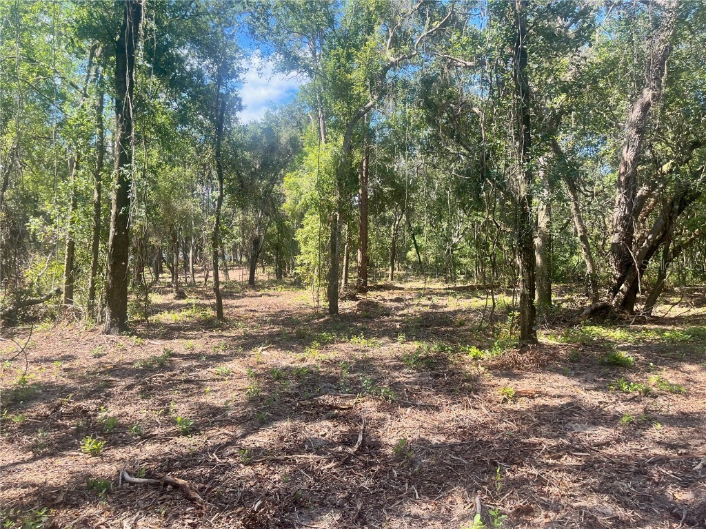 1 Sendcastle Drive Groveland FL 34736 TB8418352 image15