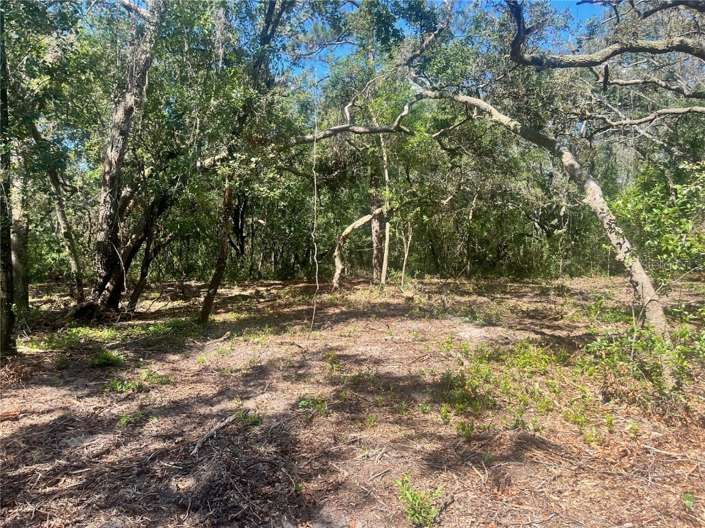 1 Sendcastle Drive Groveland FL 34736 TB8418352 image16