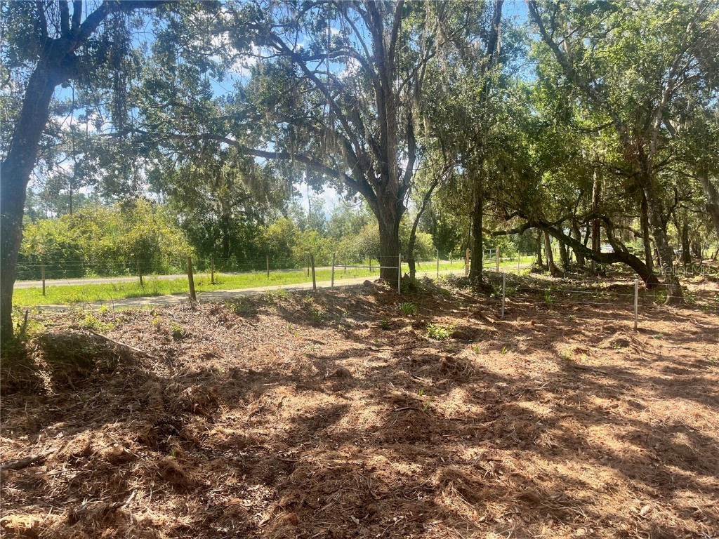 1 Sendcastle Drive Groveland FL 34736 TB8418352 image17