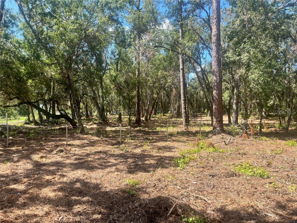 1 Sendcastle Drive Groveland FL 34736 TB8418352 image18