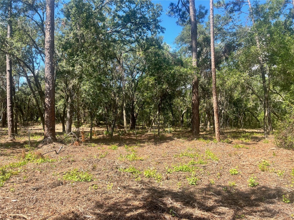 1 Sendcastle Drive Groveland FL 34736 TB8418352 image19