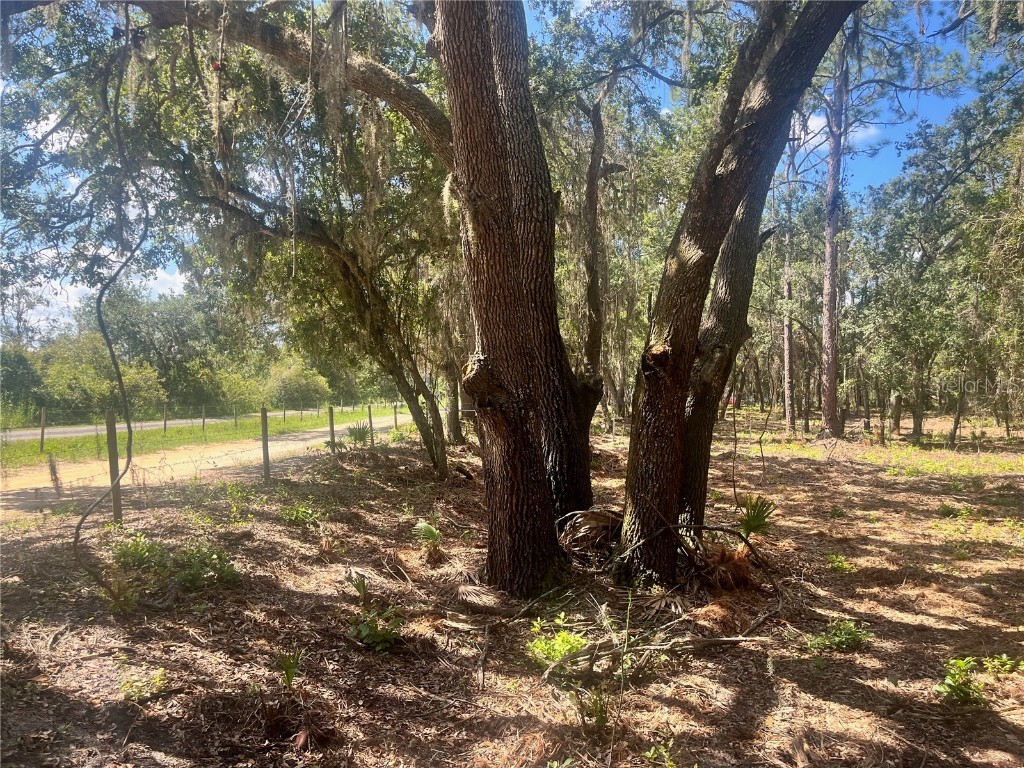 1 Sendcastle Drive Groveland FL 34736 TB8418352 image22