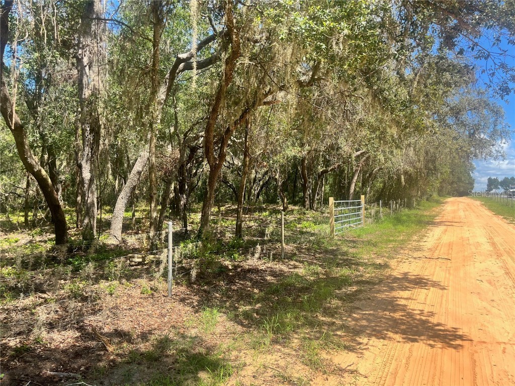 1 Sendcastle Drive Groveland FL 34736 TB8418352 image24