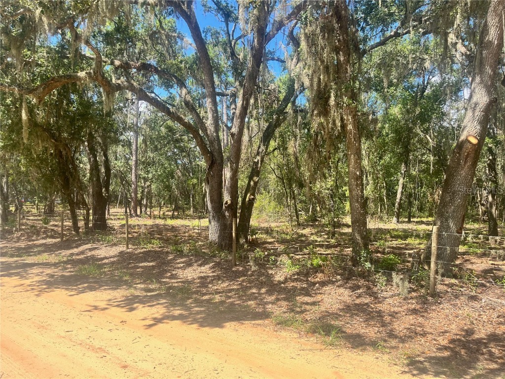 1 Sendcastle Drive Groveland FL 34736 TB8418352 image27