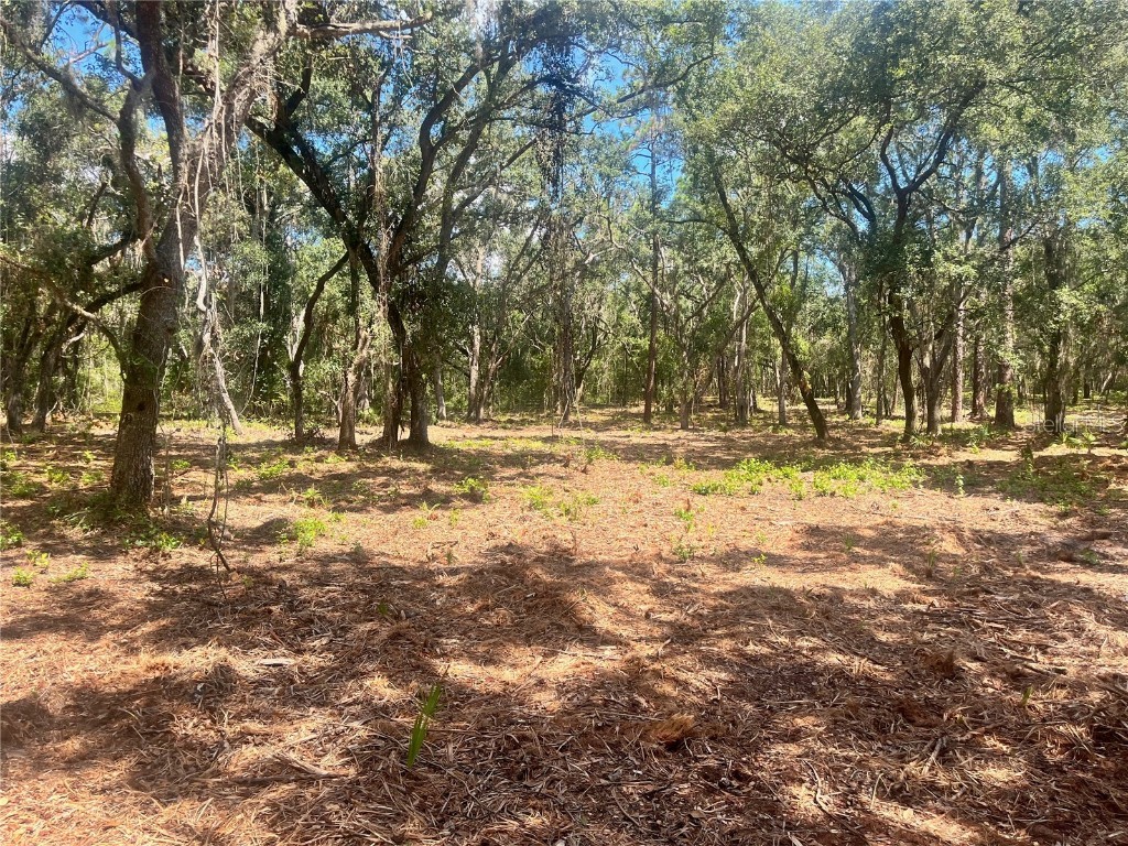 1 Sendcastle Drive Groveland FL 34736 TB8418352 image29