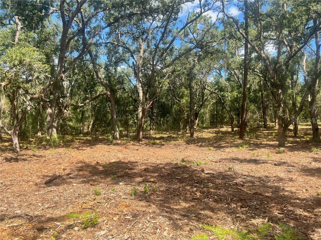 1 Sendcastle Drive Groveland FL 34736 TB8418352 image30