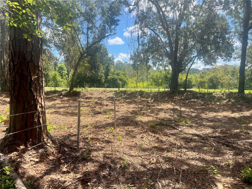 1 Sendcastle Drive Groveland FL 34736 TB8418352 image33