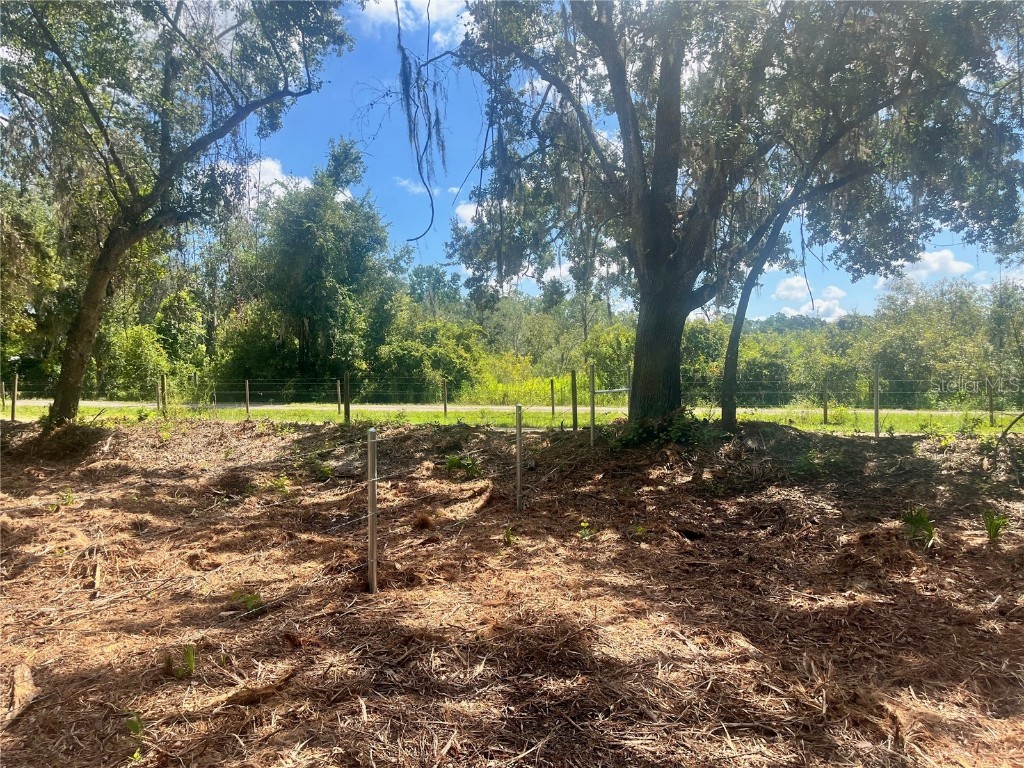 1 Sendcastle Drive Groveland FL 34736 TB8418352 image34