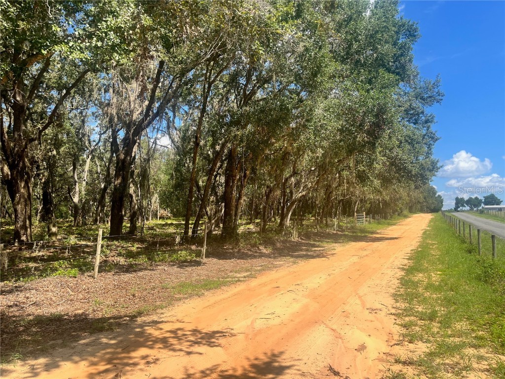 1 Sendcastle Drive Groveland FL 34736 TB8418352 image35