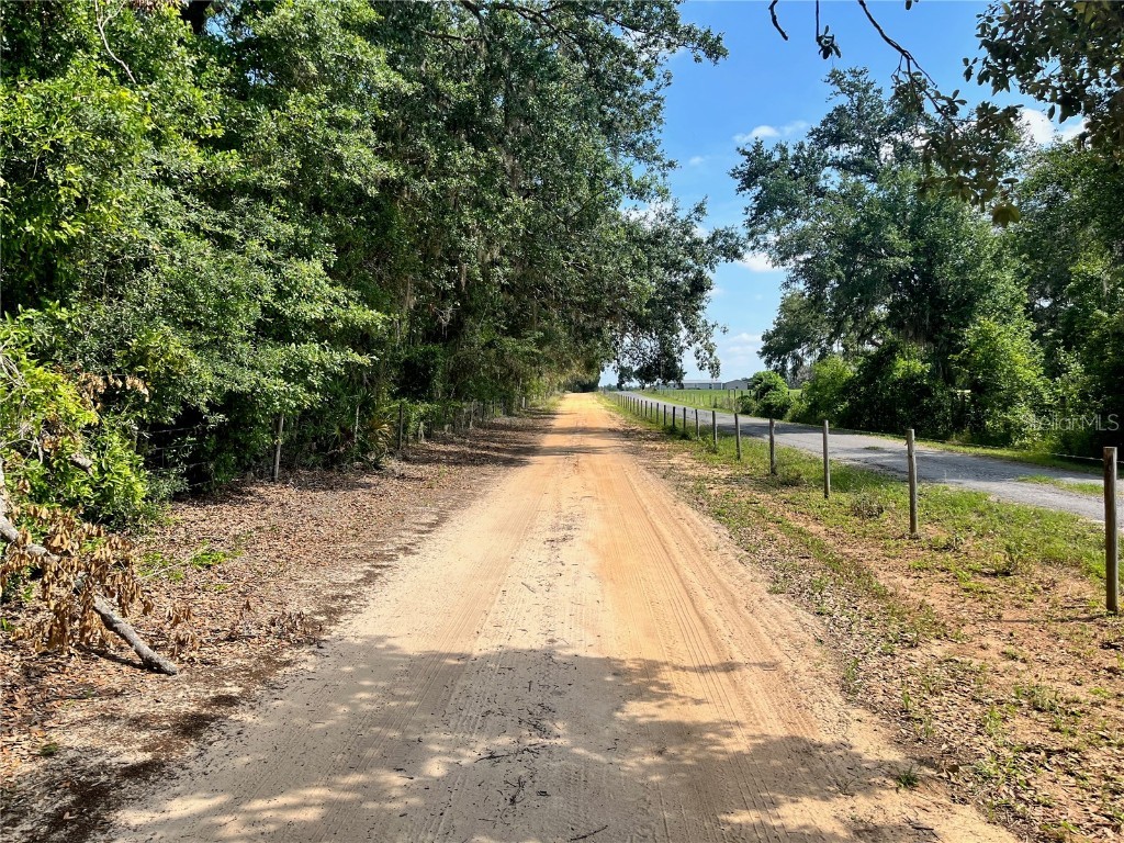 1 Sendcastle Drive Groveland FL 34736 TB8418352 image6