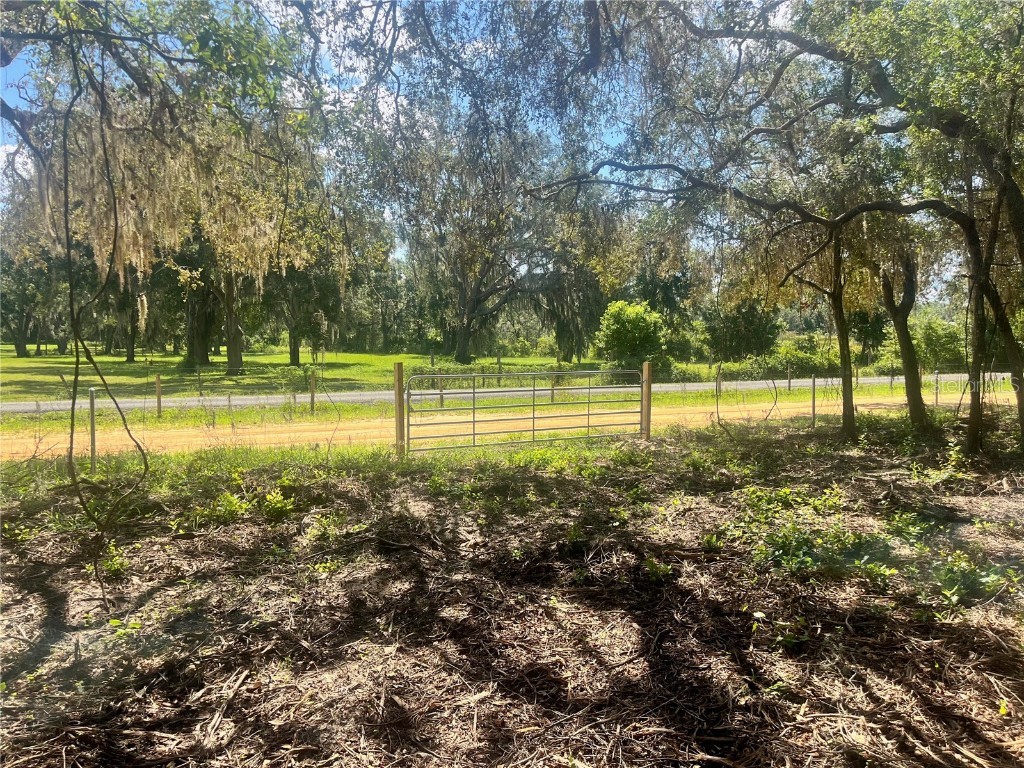 1 Sendcastle Drive Groveland FL 34736 TB8418352 image7