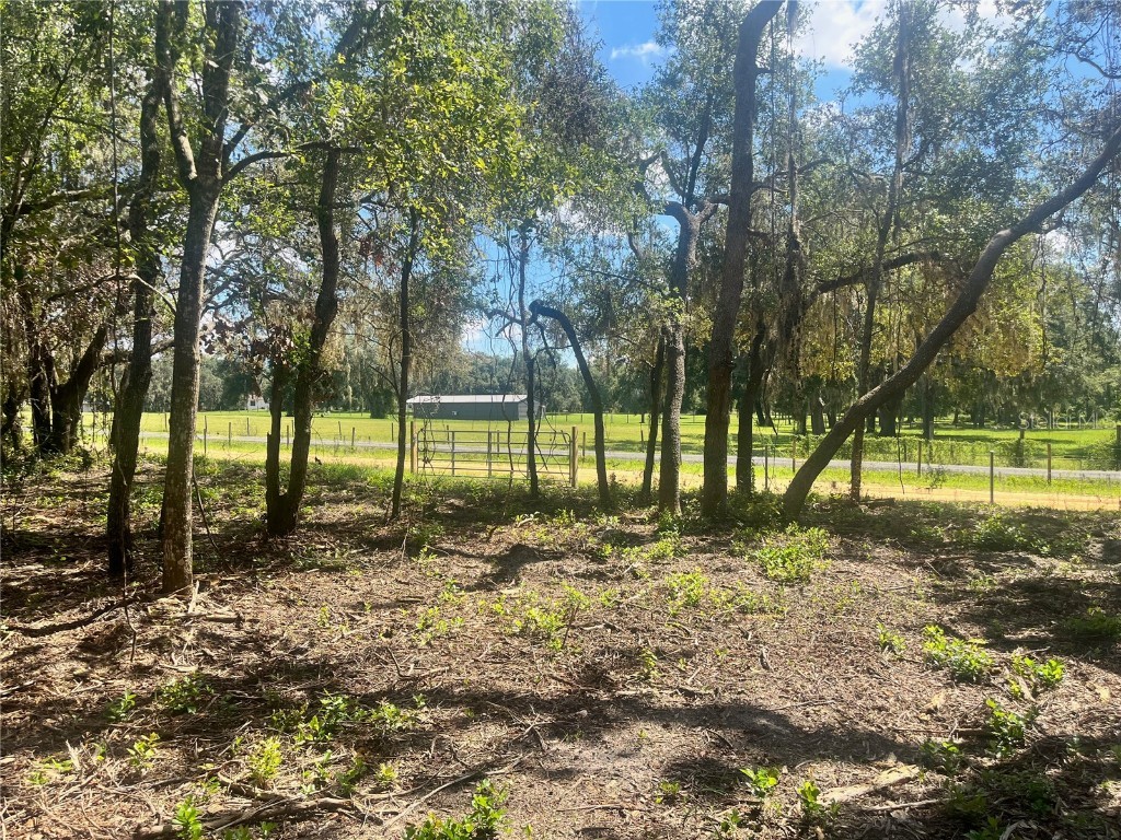 1 Sendcastle Drive Groveland FL 34736 TB8418352 image9