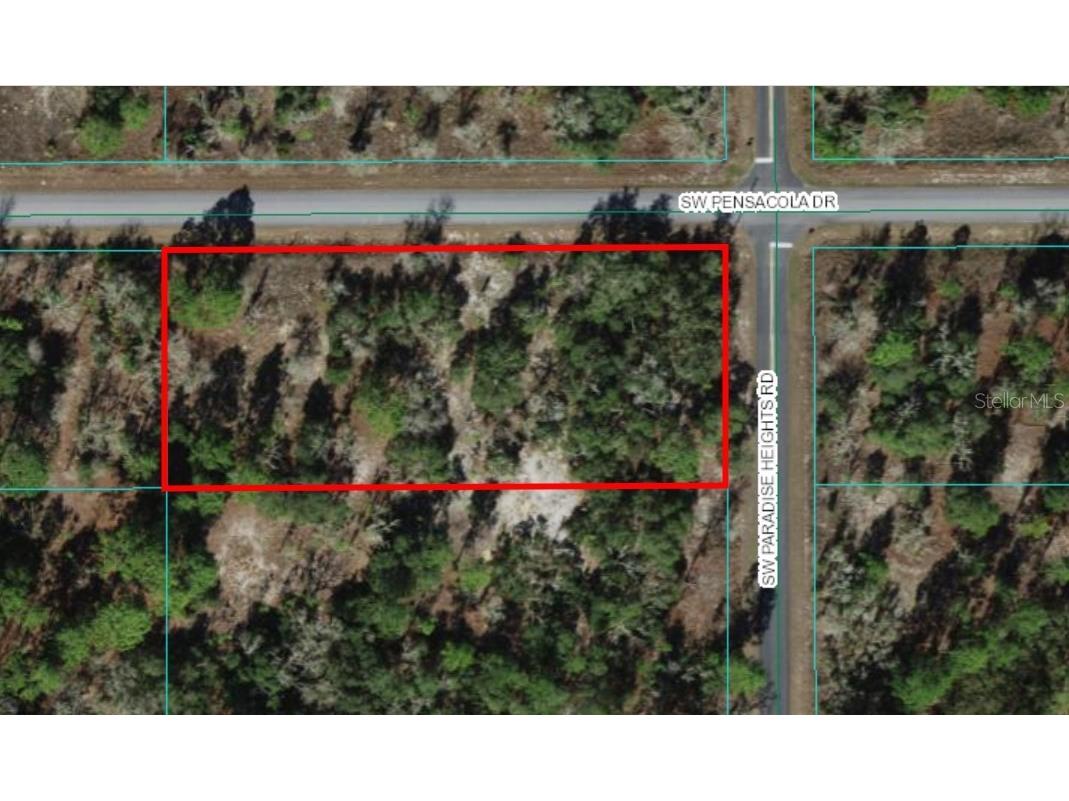 1 SW Paradise Heights Road Dunnellon FL 34431 OM675067 image1