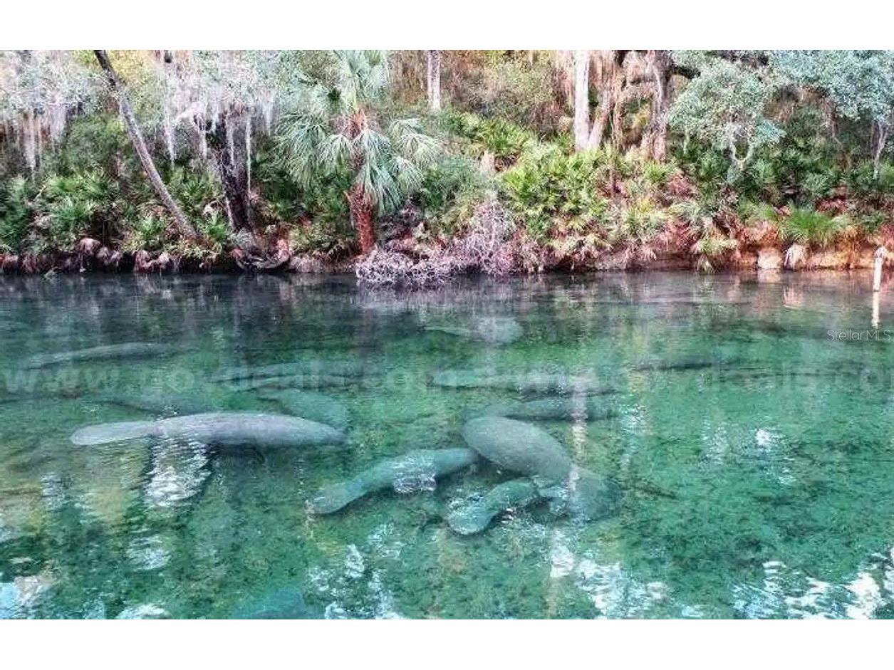 1 Werley Trail Deland FL 32720 TB8500265 image1