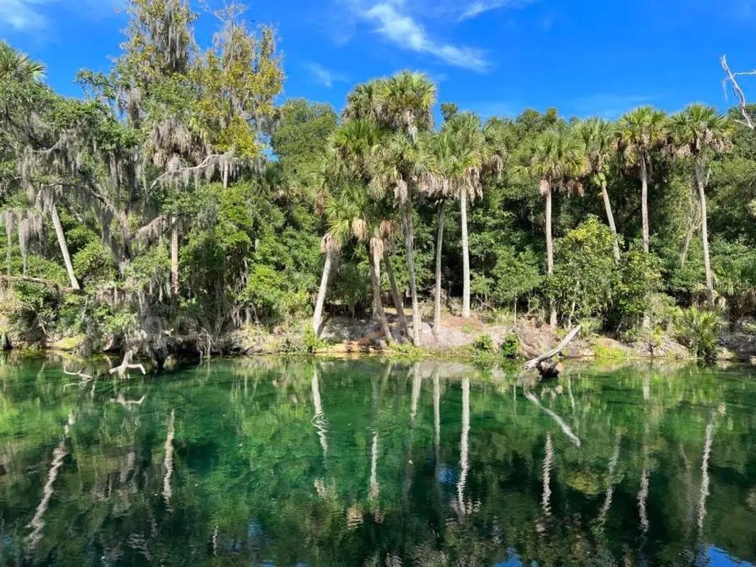 1 Werley Trail Deland FL 32720 TB8500265 image2