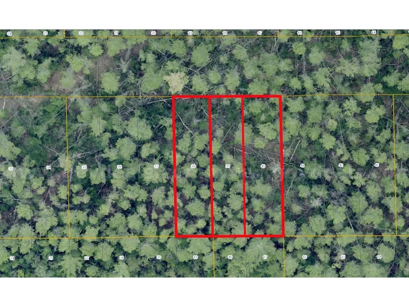 1 Werley Trail Deland FL 32720 TB8500265 image3