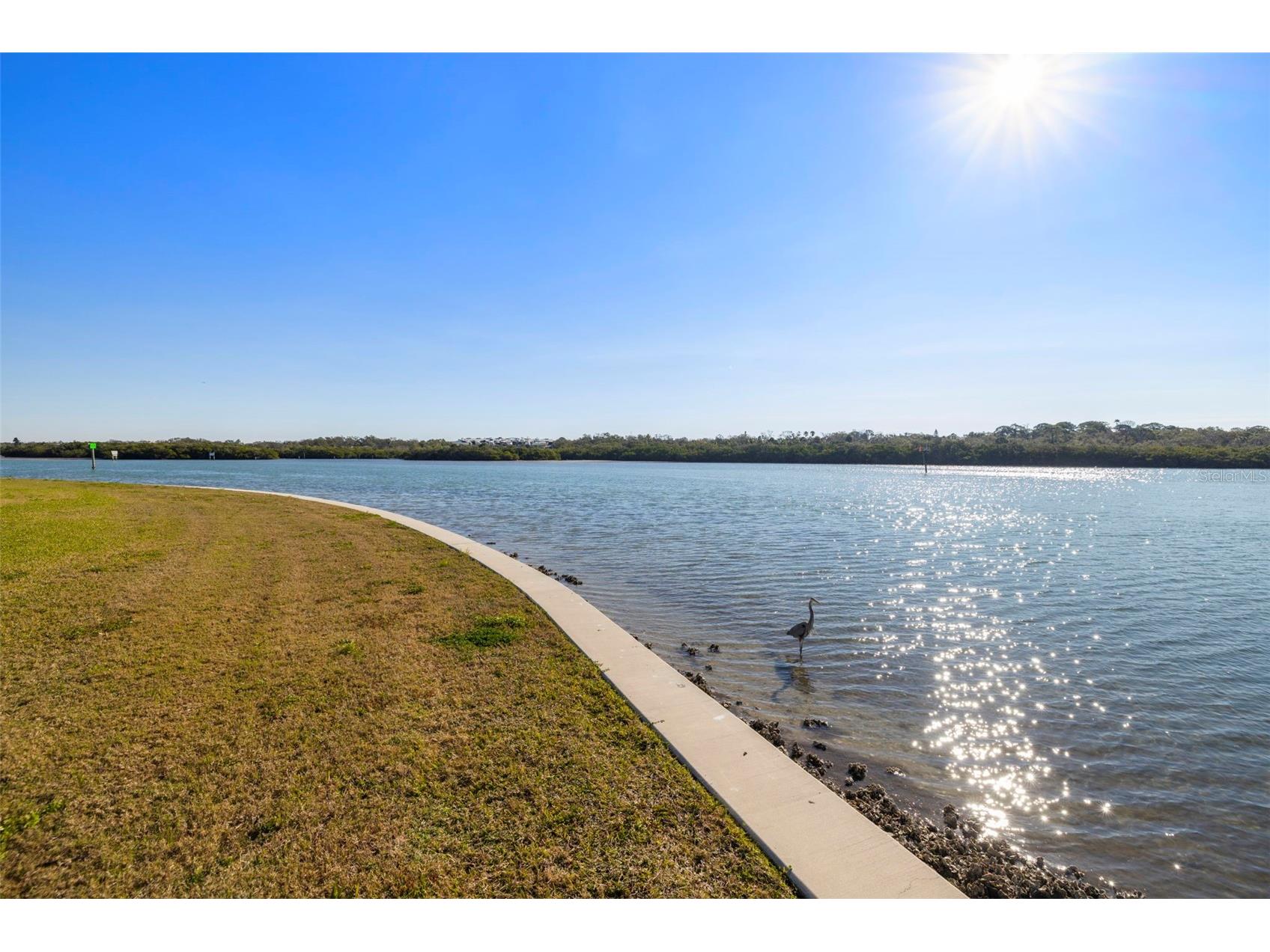 1 Windrush Boulevard #19 Indian Rocks Beach FL 33785 TB8487612 image39