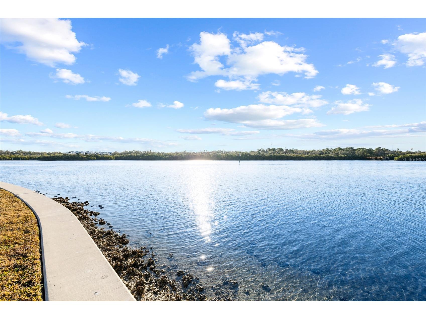 1 Windrush Boulevard #21 Indian Rocks Beach FL 33785 TB8475985 image34
