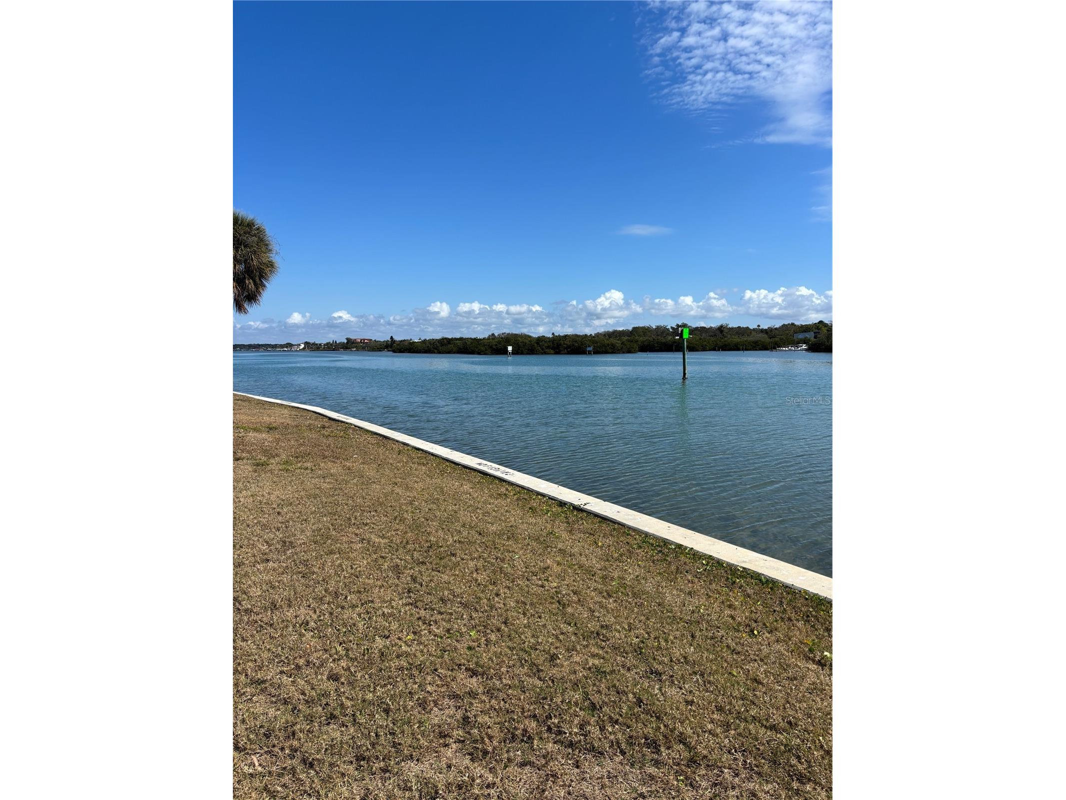 1 Windrush Boulevard #24 Indian Rocks Beach FL 33785 TB8474663 image8