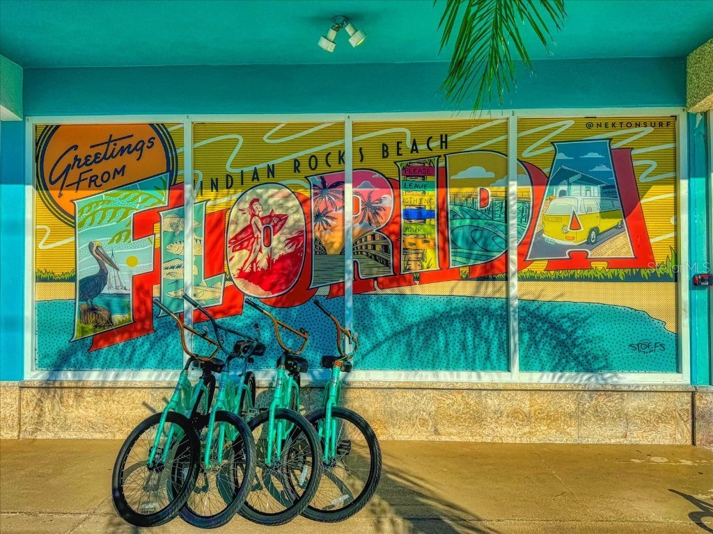 1 Windrush Boulevard #45 Indian Rocks Beach FL 33785 TB8457226 image49