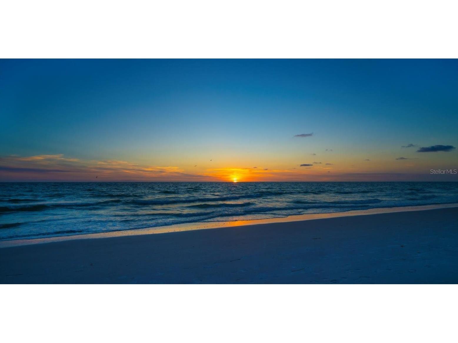 1 Windrush Boulevard #45 Indian Rocks Beach FL 33785 TB8457226 image8