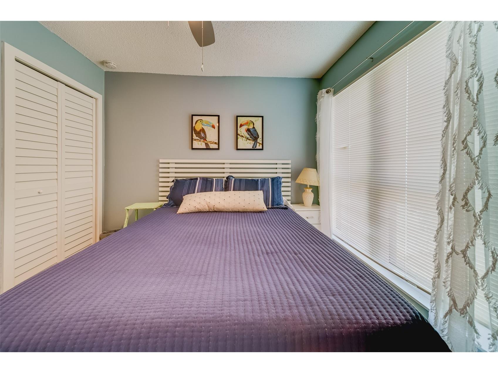 1 Windrush Boulevard #63 Indian Rocks Beach FL 33785 U8201873 image25