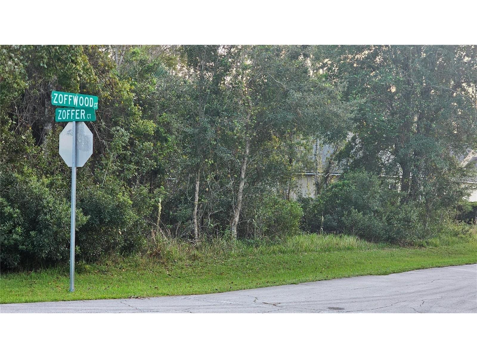 1 Zoffwood Court Palm Coast FL 32164 FC317295 image1