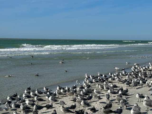 10 158th Avenue Redington Beach FL 33708 TB8507918 image25