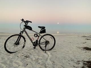 10 158th Avenue Redington Beach FL 33708 TB8507918 image29
