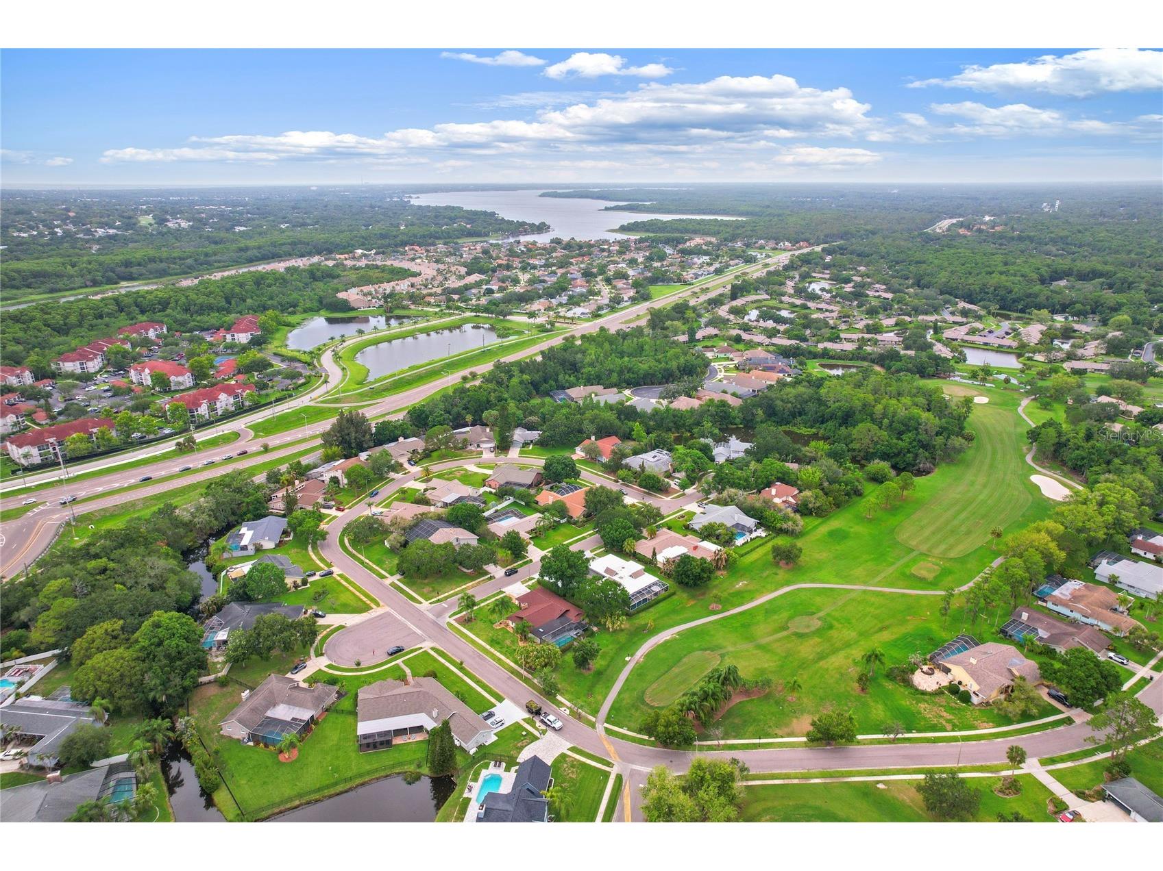 10 Arbor Lane Oldsmar FL 34677 TB8516041 image55