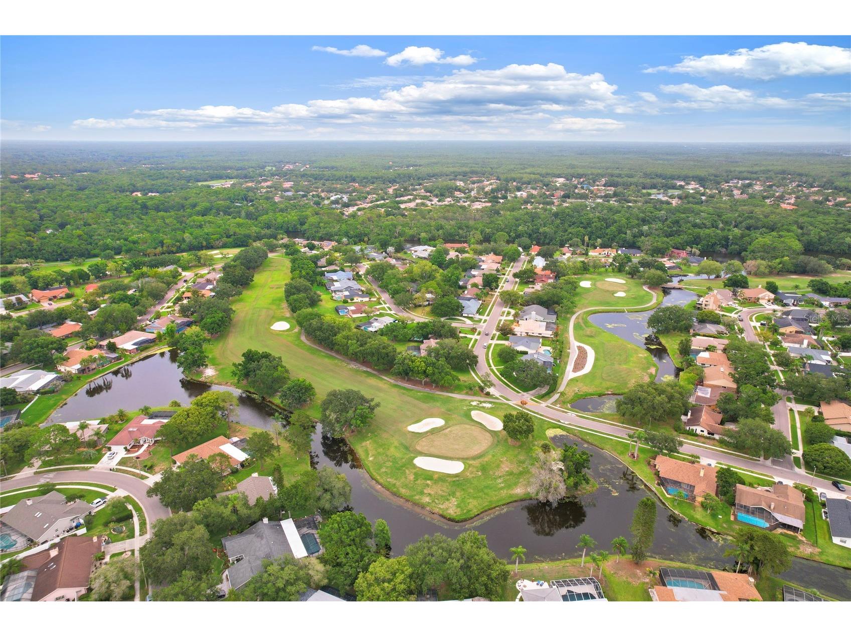 10 Arbor Lane Oldsmar FL 34677 TB8516041 image56