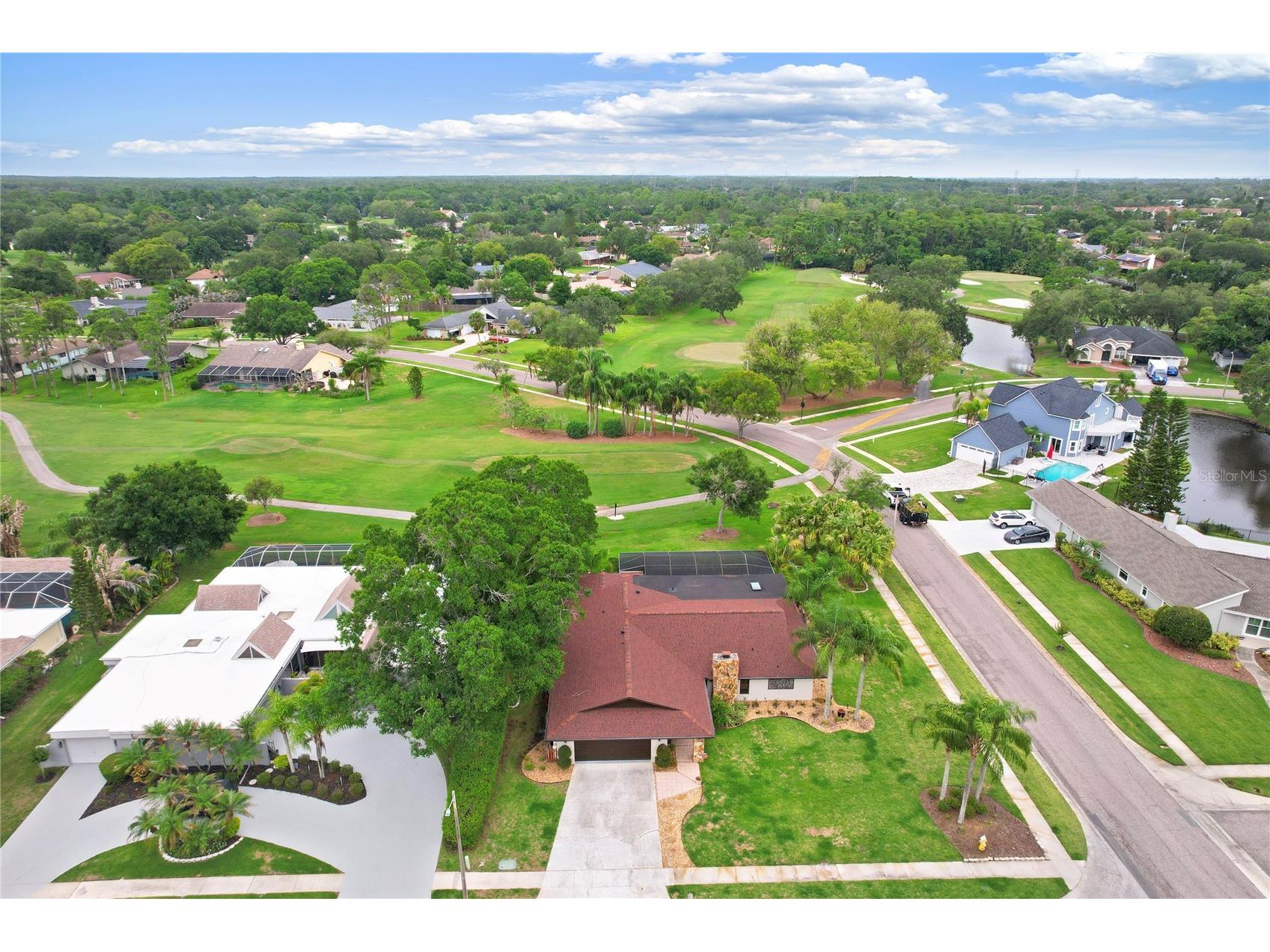 10 Arbor Lane Oldsmar FL 34677 TB8516041 image6