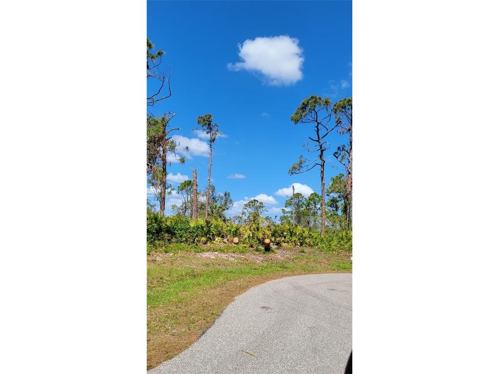 10 Barge Lane Placida FL 33946 D6129800 image5